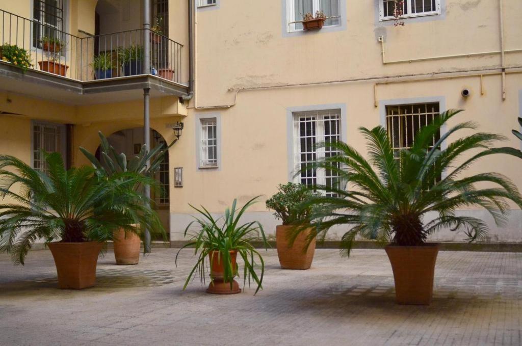 Attico Minerva Con Due Terrazze Daire Roma Dış mekan fotoğraf